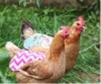 A picture containing grass, blurry

Description automatically generated