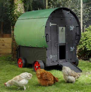 Chickens outside a small chicken coop

AI-generated content may be incorrect.