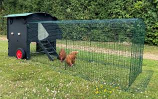 A picture containing grass, outdoor, cow, field

Description automatically generated