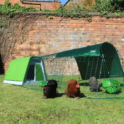 Chickens in a cage

AI-generated content may be incorrect.