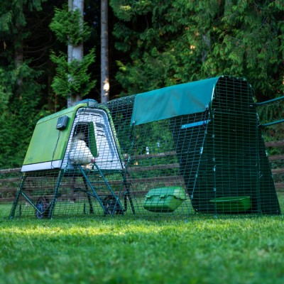 A chicken coop in a yard

AI-generated content may be incorrect.