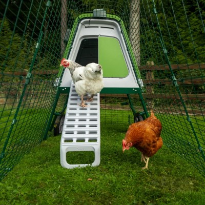 A group of chickens on a slide in a backyard

AI-generated content may be incorrect.
