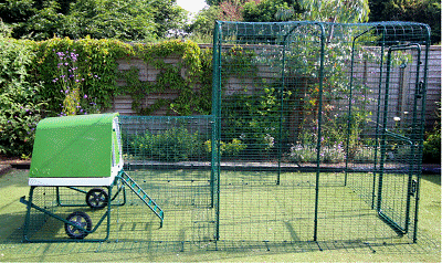 A cage in a yard

AI-generated content may be incorrect.