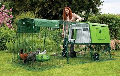 A person standing next to a chicken coop

AI-generated content may be incorrect.