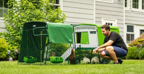 A person kneeling next to a chicken coop

AI-generated content may be incorrect.
