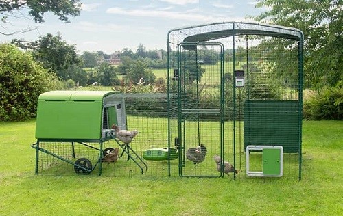 A chicken coop with chickens in it

AI-generated content may be incorrect.
