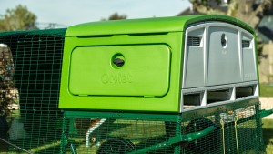 A green and white container

AI-generated content may be incorrect.