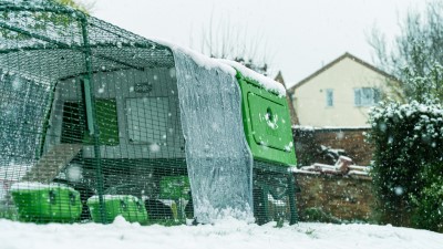 A green and white shed in the snow

AI-generated content may be incorrect.