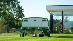 A green and white trailer on grass

AI-generated content may be incorrect.